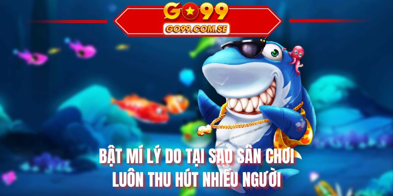 Bật mí lý do tại sao sân chơi luôn thu hút nhiều người